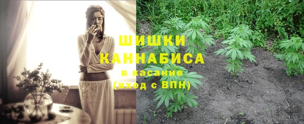 эйфоретик Армянск