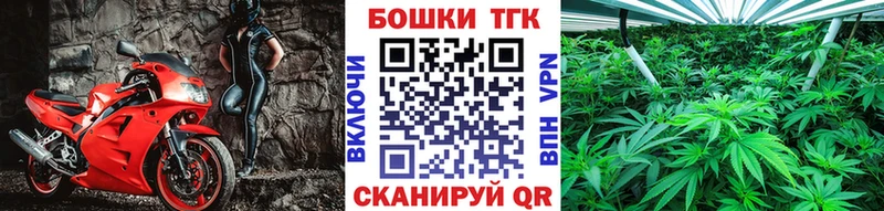 Канабис сатива  Сальск 